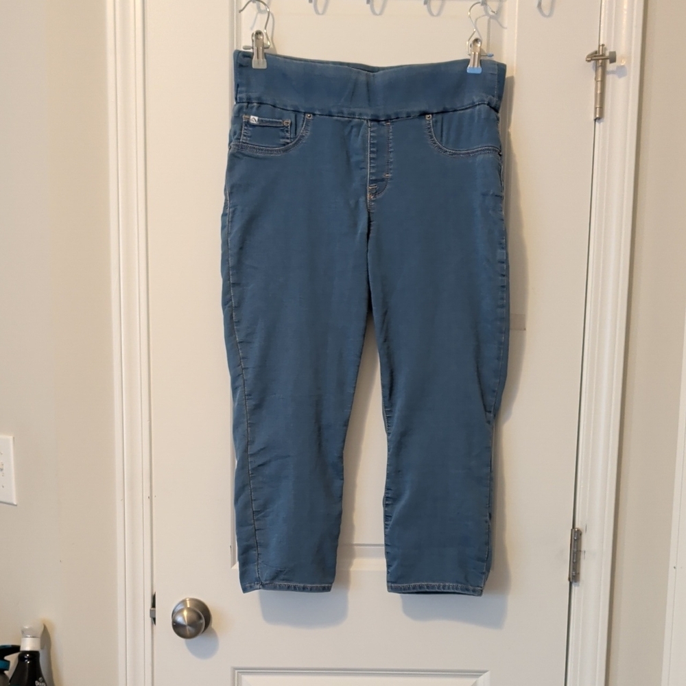 Jordache Full On Curvy Jegging Size Large